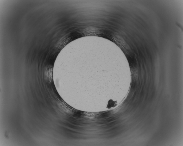 X0000097820190200803281129