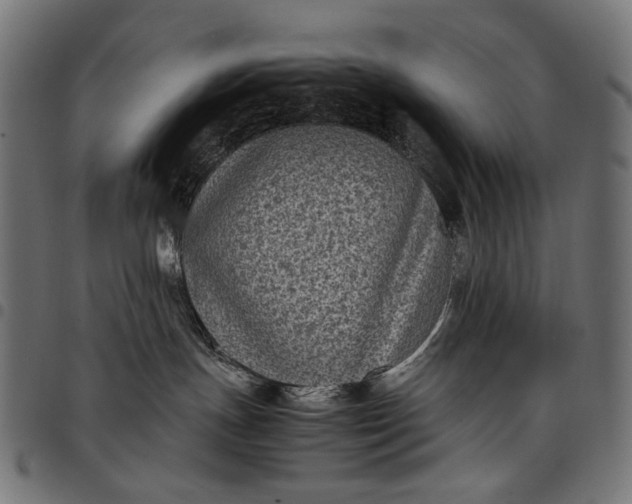 X0000097820191200803281129