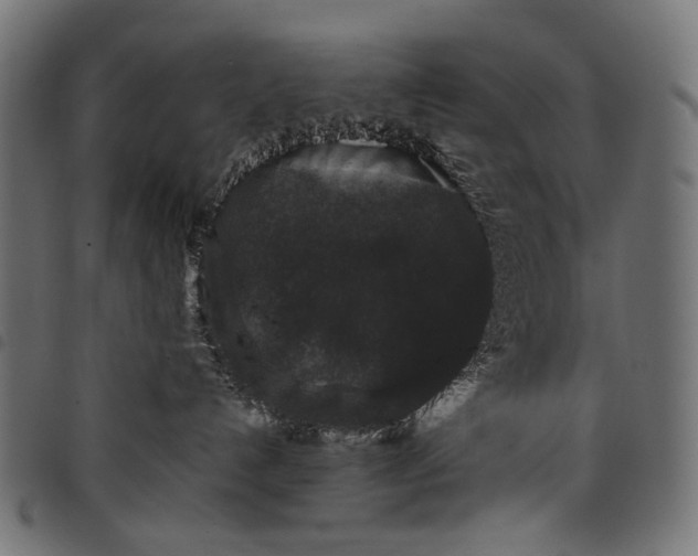 X0000097820192200803281129