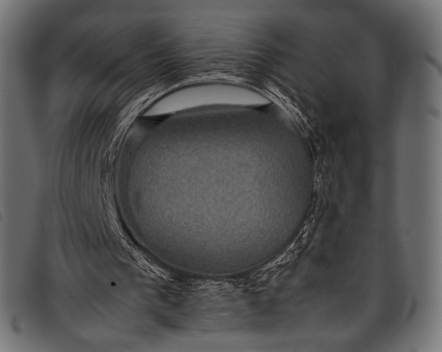 X0000097820193200803281128