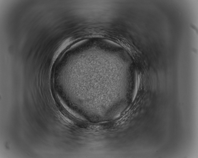 X0000097820195200803281128