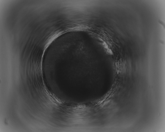 X0000097820196200803281128