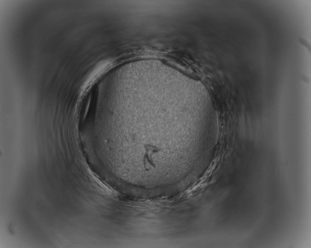 X0000097820197200803281128