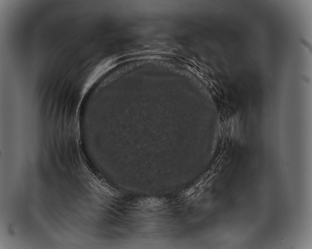 X0000097820198200803281128