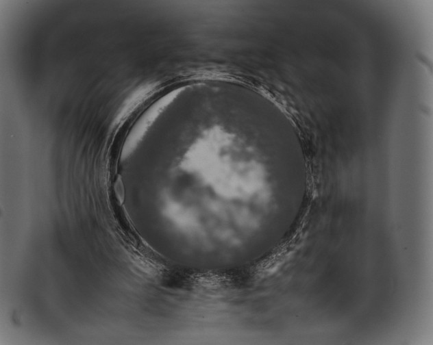 X0000097820199200803281128