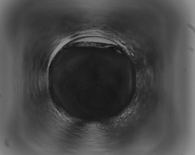 X0000097820200200803281128