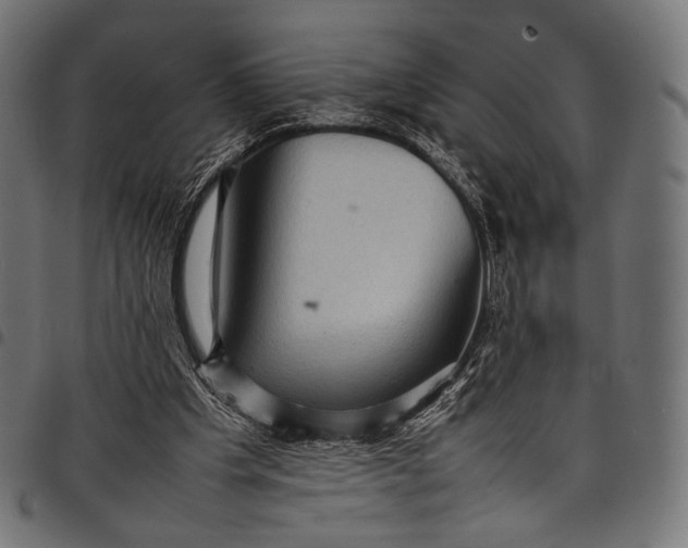 X0000097820201200803281128