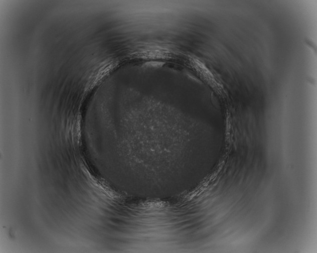 X0000097820202200803281128