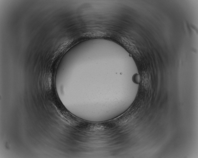 X0000097820206200803281128