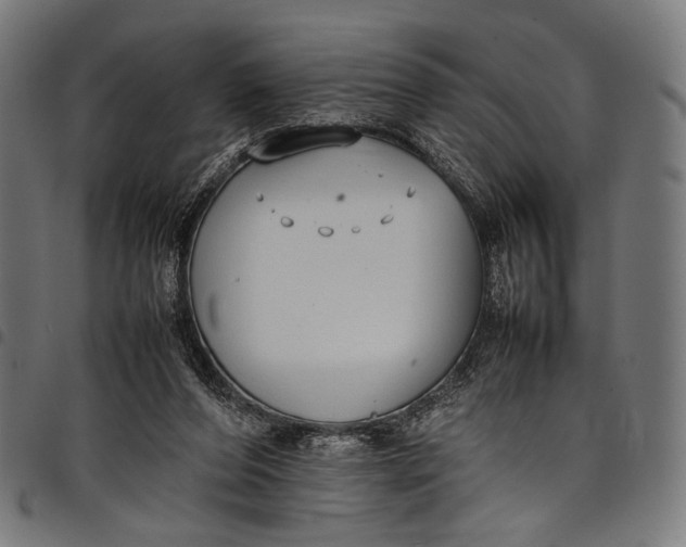 X0000097820208200803281128