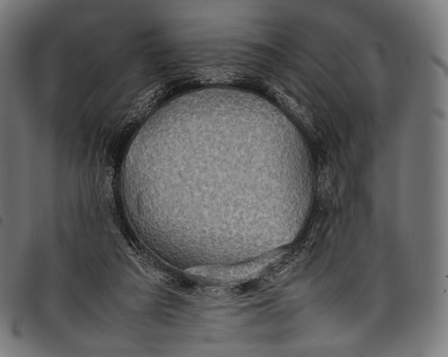 X0000097820209200803281128