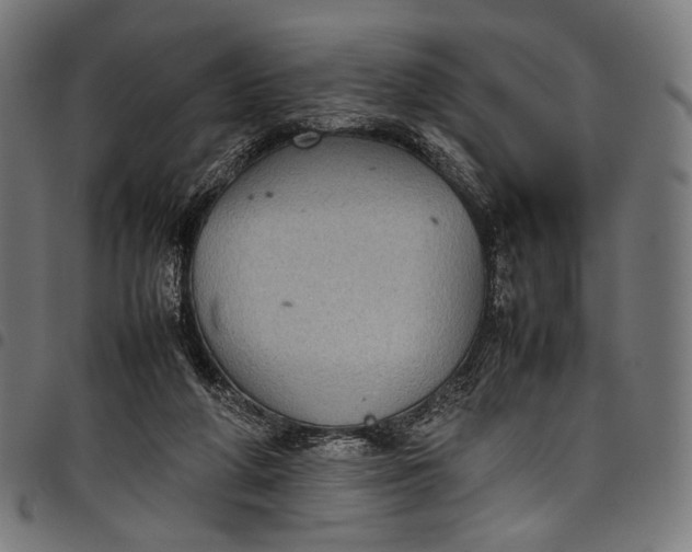 X0000097820210200803281128