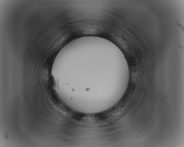 X0000097820211200803281128