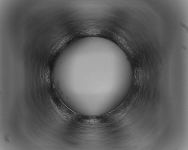 X0000097820212200803281128