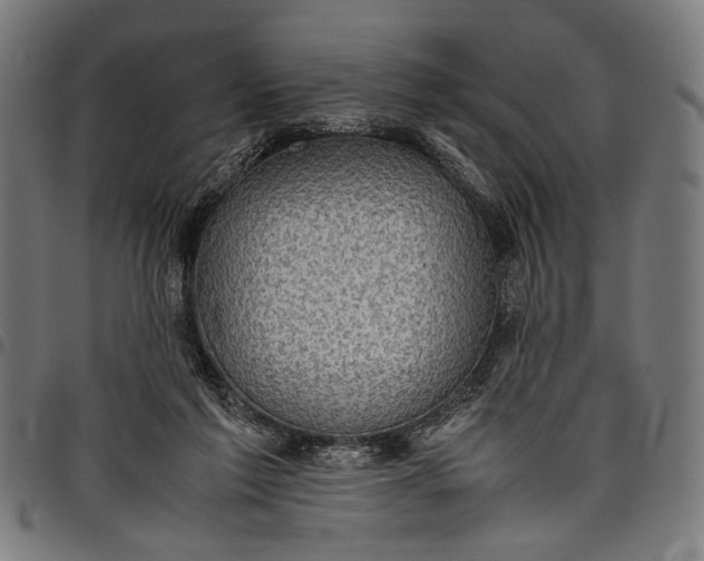 X0000097820213200803281128