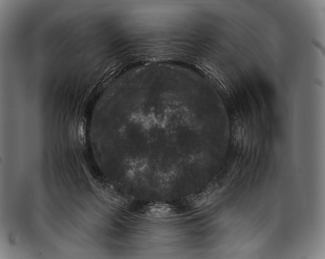 X0000097820214200803281128