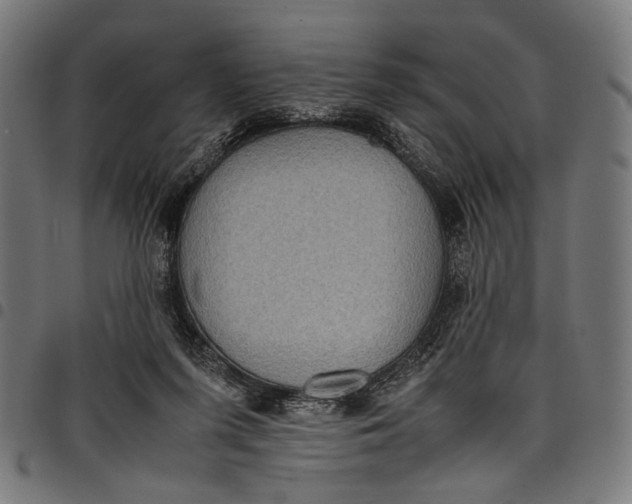 X0000097820215200803281128