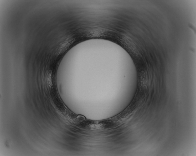 X0000097820216200803281128