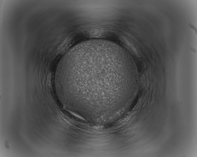 X0000097820217200803281128