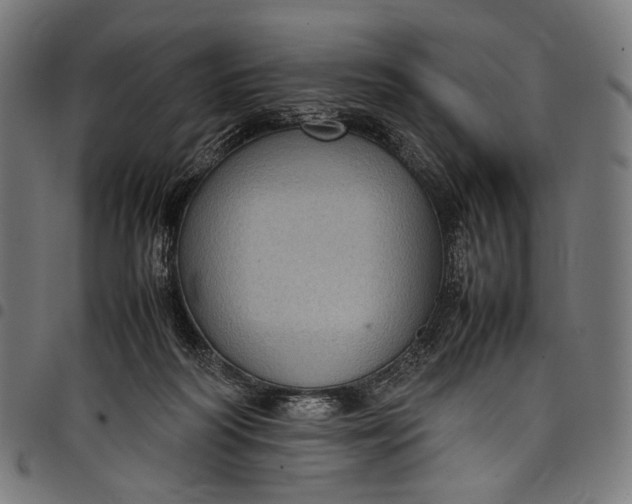 X0000097820218200803281128