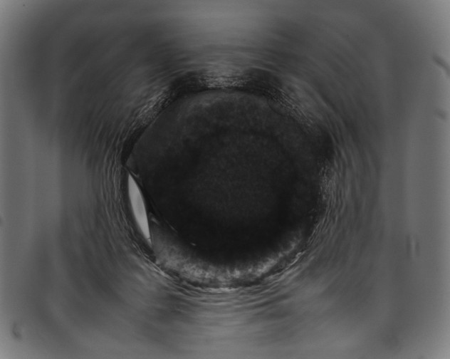 X0000097820219200803281128