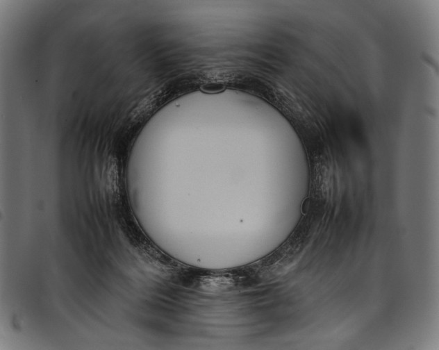 X0000097820220200803281128