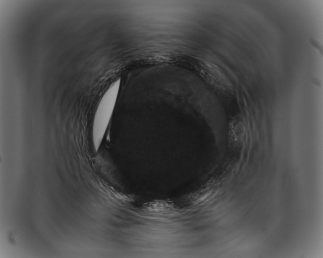 X0000097820223200803281128