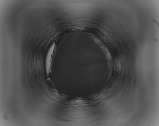 X0000097820224200803281128