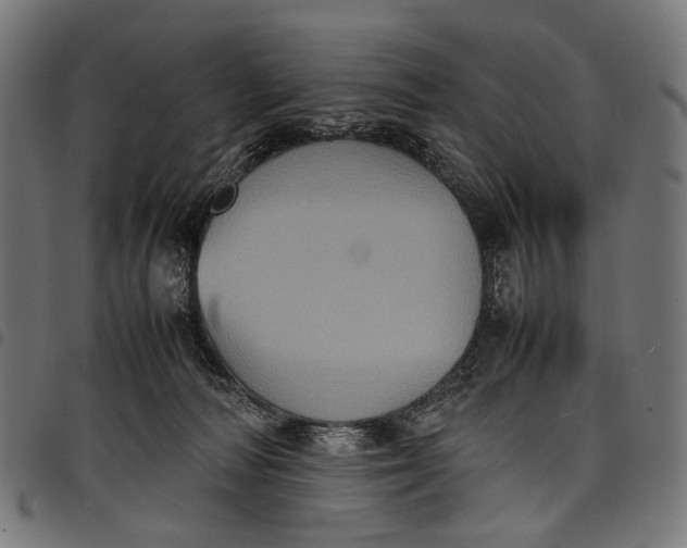 X0000097820226200803281128