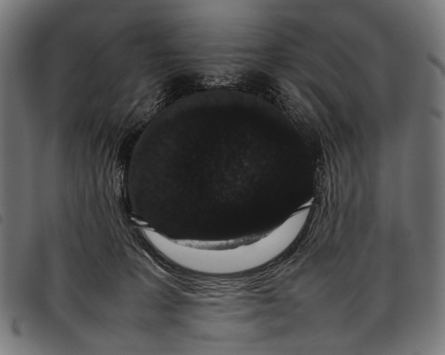 X0000097820227200803281128