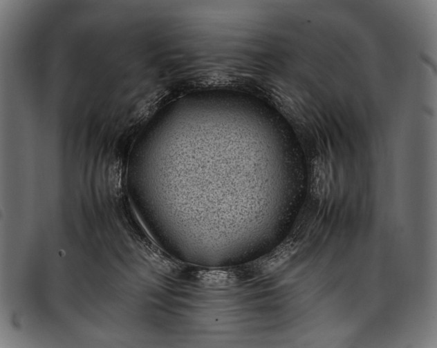 X0000097820230200803281128