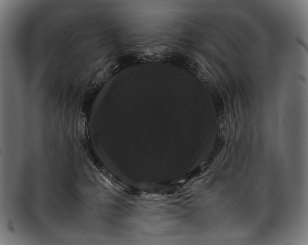 X0000097820231200803281128