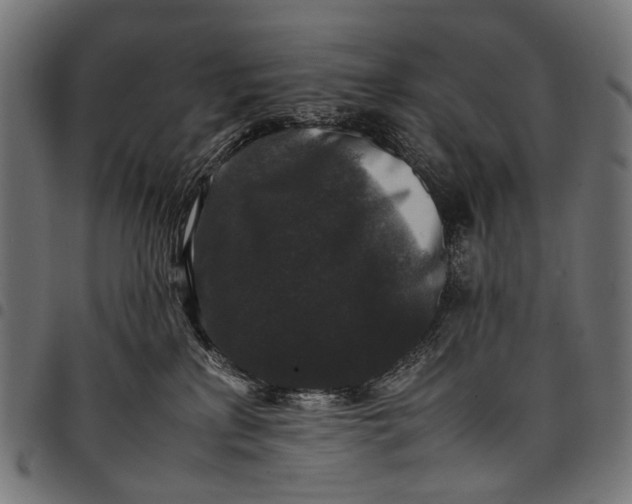 X0000097820233200803281128