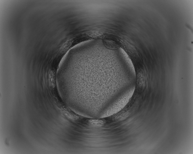 X0000097820234200803281128