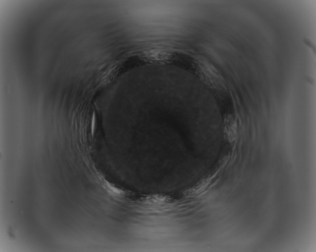 X0000097820235200803281128