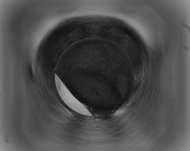 X0000097820239200803281128