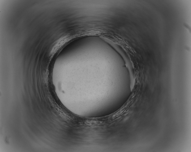 X0000097820242200803281127