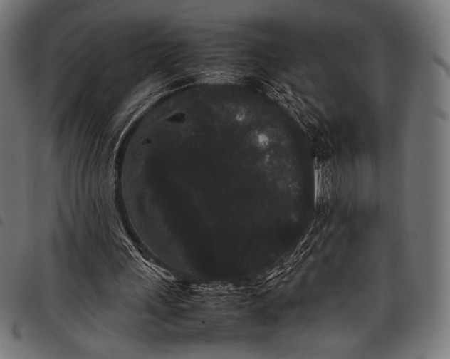 X0000097820243200803281127