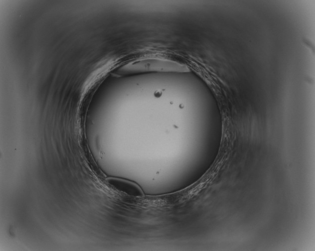 X0000097820245200803281127