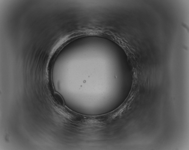 X0000097820246200803281127