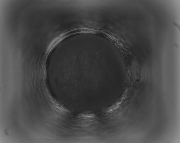 X0000097820247200803281127