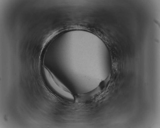 X0000097820248200803281127