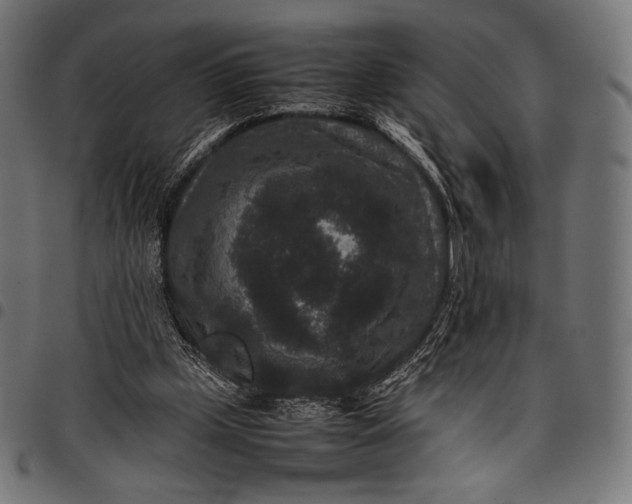 X0000097820249200803281127