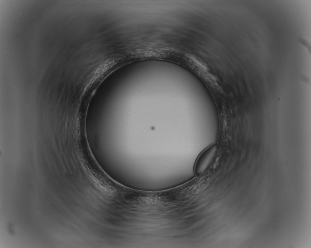 X0000097820250200803281127