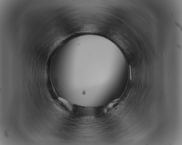 X0000097820252200803281127