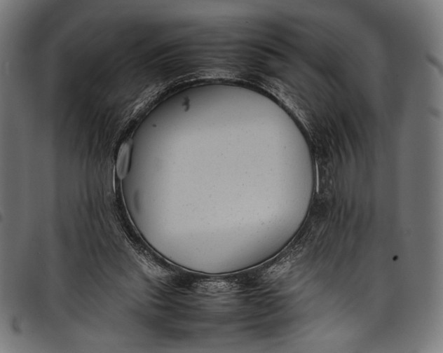 X0000097820253200803281127