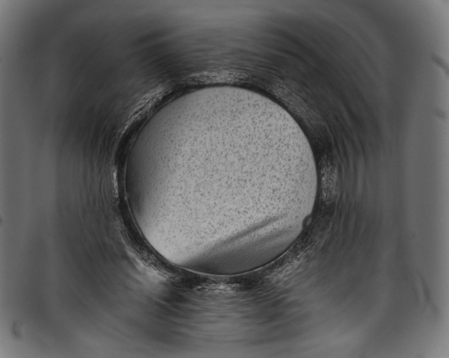 X0000097820254200803281127