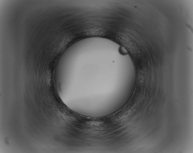 X0000097820255200803281127