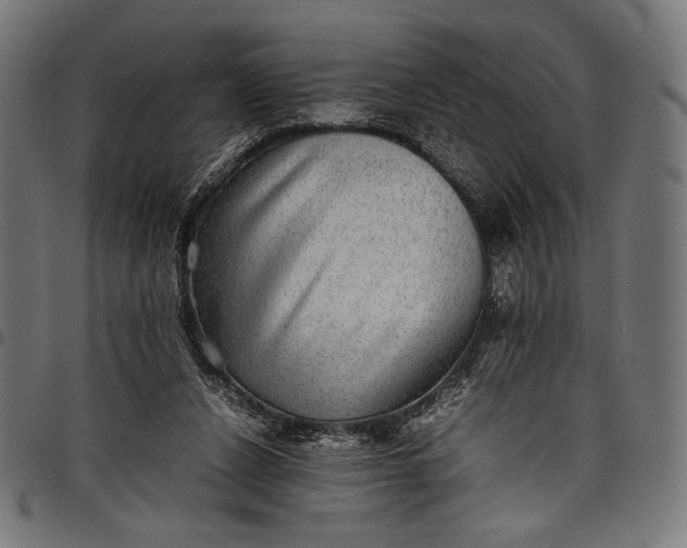 X0000097820256200803281127