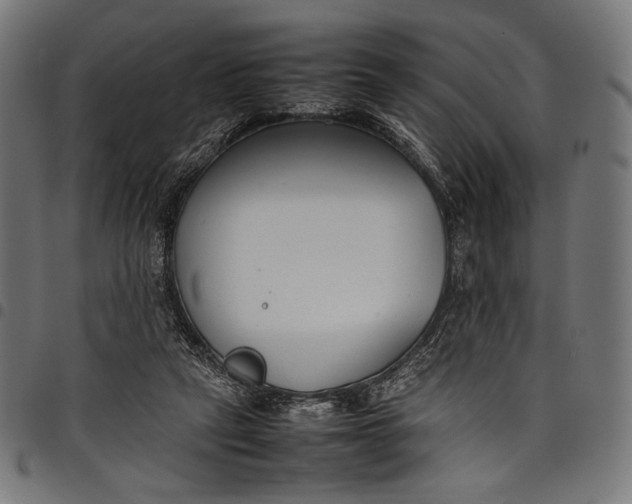 X0000097820257200803281127